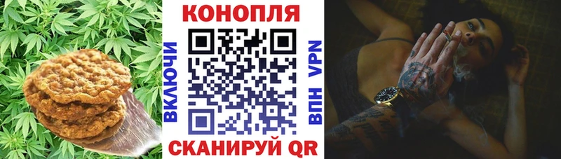 Cannafood марихуана  Иваново 