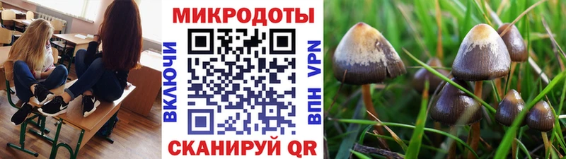где можно купить Иваново Галлюциногенные грибы мухоморы